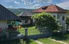 Casa traditionala cu teren de 4000mp - 1