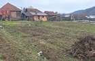Casa de vanzare si multe articole artizanale - 10