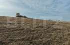 Teren extravilan 6 ha, Stejeris, com Moldovenesti - Moldovenesti (Cluj)