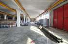 Hale noi in Baicoi, Ph--13.000mp--3e - 14
