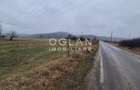 Teren extravilan 11.300 mp, front 39 m, Selimbar - 4