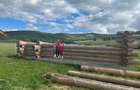 Casă cu 4 camere cu Teren 2000 Mp în Poiana Stampei - 4