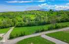 Teren 500mp-1000-2000mp, intravilan, intre Bran si Zarnesti (Tohanita) - 9