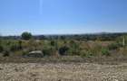 Vand Teren 1.000 m2 Podgoria str. Facliei - 2