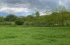 Vand Teren in Stejeris - 3