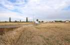 LOTURI PENTRU CASA - 420mp + 89mp drum - Otopeni, Ilfov - IN CURS DE AUTORIZARE - 2
