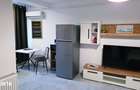 Apartament cu 1 camera de inchiriat Mazepa Rosiori - 7