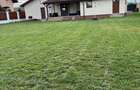 Casa de vanzare, Peciu Nou! - 8