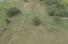Teren Intravilan 35 Ari Nires - 2