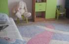 Casa si Teren De Vanzare In Comuna Stanesti (jud.Gorj) - 9