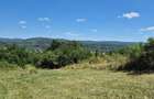 Teren panoramic 5.805 mp in Ciofrangeni, Arge? Natura, lini?te ?i acces facil - 3