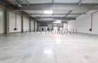 Hala Industriala de Inchiriat, Arad-Nord, Acces Tir, 1170-2340m2 - 1