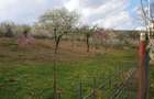 Vand casa cu anexe si gradina 2664 m2, Bascenii de Sus - 3