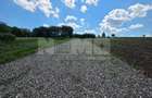 TEREN INTRAVILAN | SFINTU ILIE, SUCEAVA | 40.000 /parcela - 8