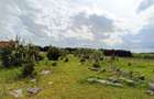 Teren in localitatea Reci,langa lacuri - 12