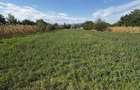 Teren intravilan de vanzare, 3600 mp, apa - 3