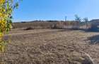 Teren 1.500 mp Fanatele Clujului (3 parcele + drum)extravilan, panorama