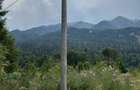 Teren intravilan, 1000 mp, proiect duplex P+E, zona Sinaia - Zamora - 17