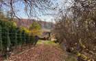 TEREN 1095MP -PODIS -DN 2G- BACAU -MOINESTI - 5