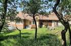 Teren cu utilitati si casa veche in Rediu - 2