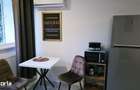 Apartament cu 1 camera de inchiriat Mazepa Rosiori - 2