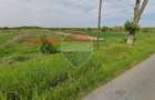 Vanzare teren extravilan 28800 mp, sat Posta, jud Giurgiu - 5