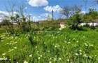 Vanzare in rate, teren 509 mp, com. Vernesti-sat Carlomanesti - 5