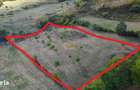 Super view | Teren 8.500 m2 Maramures | Viitorul tau colt de liniste - 2