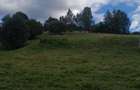 Proprietate rurala autentica cu 20.600 mp teren compact ?i panorama deosebita Barcani, Covasna - 2