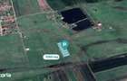 Loc de casa de 1.000mp in Zimandcuz cu PUZ aprobat - 3