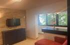 Apartament 2 camere, zona Piata Victoriei, mobilat - 8