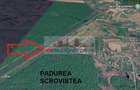 VANZARE TEREN, Sat.Balteni, com. Peris, Padurea Scrovistea, jud IIlfov - 10