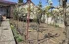 Vand schimb casa Sendreni
