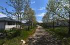 Loturi de vanzare Padurea Snagov - 7
