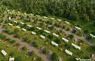 Lot de teren cu autorizatie si proiect casa 500mp! Snagov - 7