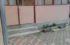 Casa renovata 2 camere, curte cu acces auto, terasa mare ?i gaz - Mutare Imediata - 9