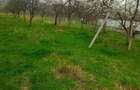 Vand teren intravilan, Domnesti, Arges