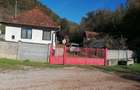 Casa de vanzare + teren si padure - 7