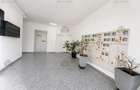 Apartament cu 2 camere si gradina Str. Drumul Dealu Crisului - 4