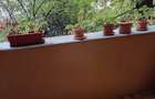 Apartament 3 camere Piata Rogerius