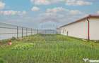 COMISION 0% | Casa pe structura de lemn | Podul Olt | 52 mp utili | - Podu Oltului (Brasov)