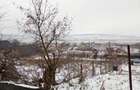 Teren intravilan loc. Secuia, com. Munteni de Jos 1490mp