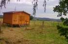 Teren de vanzare la marginea padurii, aproape de Sali?te, jud Sibiu