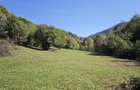 Vand teren extravilan Tarcau Punct Radu, 4.492 mp | Teren drept + padure
