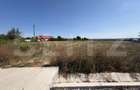 Teren 15.000 mp, zona Bucureasa