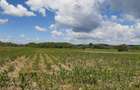 Teren agricol Podu Oltului la limita UAT Prejmer si UAT Harman - 3