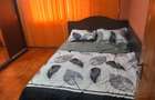 Vand apartament 3 camere Centru,B-dul Dacia cu acoperis,3balcoane - 9