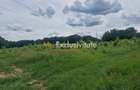 Teren extravilan Pitesti - str. Balotesi!! - Pitesti (Arges) - 3