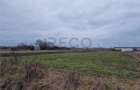 RECO Teren intravilan in Bors cu front mare - 5