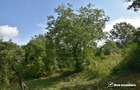 Casa demolabila in sat Gheorghieni (com Feleacu) teren 1547mp intravilan